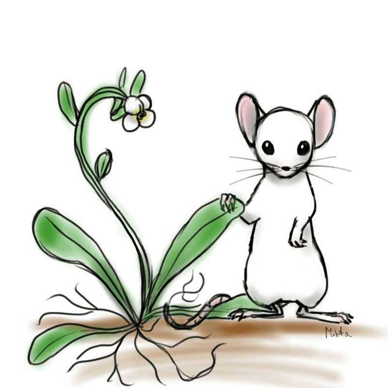 Fachschaft Biologie